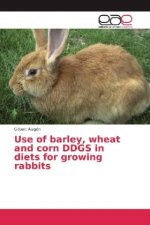 Use of barley, wheat and corn DDGS in diets for growing rabbits
