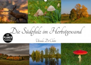 Die Südpfalz im Herbstgewand (Wandkalender 2018 DIN A2 quer)