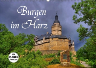 Burgen im Harz (Wandkalender 2018 DIN A2 quer)