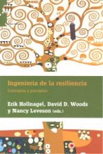 INGENIERÍA DE LA RESILIENCIA