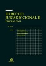 Derecho jurisdiccional II : proceso civil