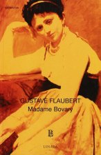 MADAME BOVARY -2-