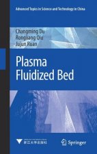 Plasma Fluidized Bed