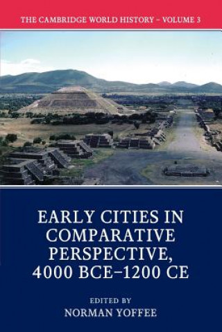 Cambridge World History: Volume 3, Early Cities in Comparative Perspective, 4000 BCE-1200 CE