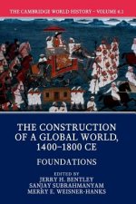 Cambridge World History, Part 1, Foundations