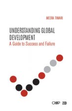 Why Some Development Works