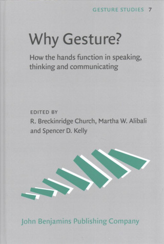 Why Gesture?