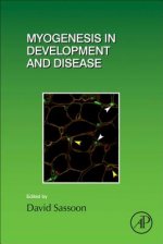 Myogenesis in Development and Disease