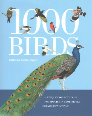 1000 Birds: A Unique Collection of 1,000 Species in Exquisitely Detailed Paintings