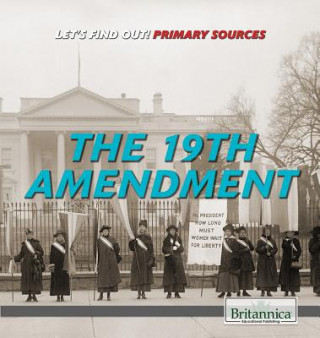 19TH AMENDMENT