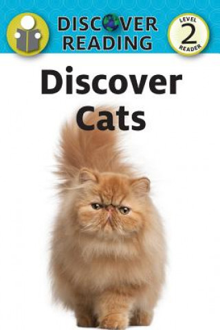 DISCOVER CATS