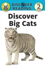 DISCOVER BIG CATS