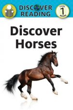 DISCOVER HORSES