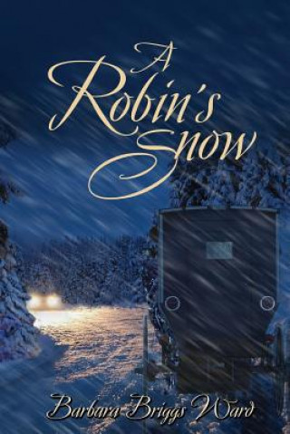 Robin's Snow