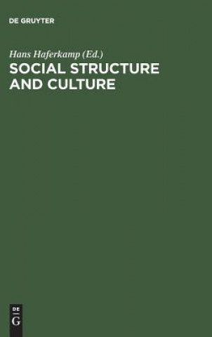 Social Structure and Culture
