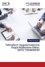 Teknokent Uygulamalar n n Örgüt Kültürüne Etkisi: ODTÜ TEKNOKENT