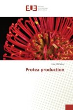 Protea production