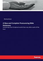 New and Complete Pronouncing Bible Dictionary