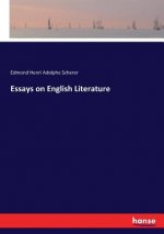 Essays on English Literature