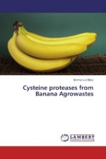 Cysteine proteases from Banana Agrowastes