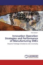 Innovation Operation Strategies and Performance of Manufacturing SMEs