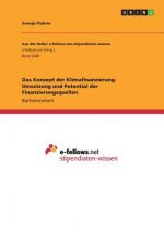 Das Konzept der Klimafinanzierung. Umsetzung und Potential der Finanzierungsquellen