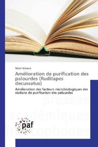 Amélioration de purification des palourdes (Ruditapes decussatus)