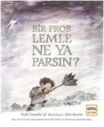 Bir Problemle Ne Yaparsin