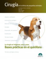Bases prácticas en el quirófano