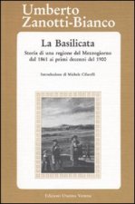 La Basilicata. Storia di una regione del Mezzogiorno dal 1861 ai primi decenni del 1900