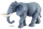 Słoń afrykański XL