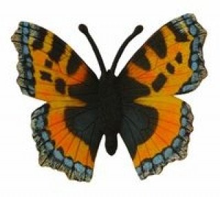Motyl rusałka pokrzywnik M