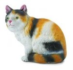 Kot domowy siedzący trzy-kolorowy S