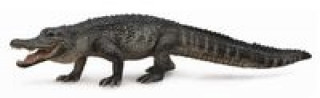 Aligator