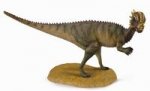 Dinozaur Pachycephalosaurus