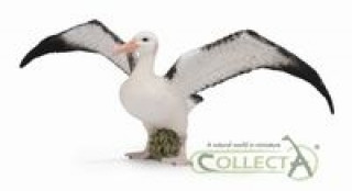 Albatros wędrowny L