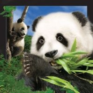 Magnes 3D - Panda