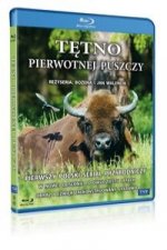 Tętno pierwotnej puszczy