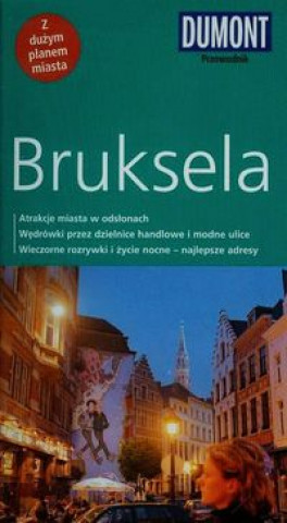 Bruksela przewodnik Dumont