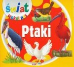 Ptaki Świat wokół nas