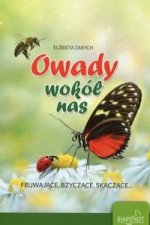 Owady wokół nas