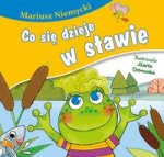 Co się dzieje w stawie?