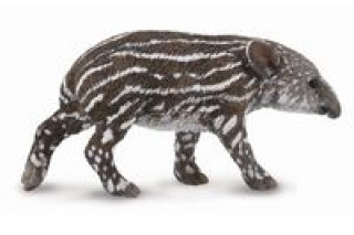 Tapir cielę bairda