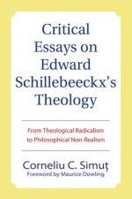 Critical Essays on Edward Schillebeeckx's Theology