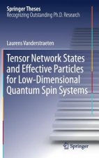 Tensor Network States and Effective Particles for Low-Dimensional Quantum Spin Systems