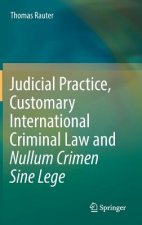Judicial Practice, Customary International Criminal Law and Nullum Crimen Sine Lege