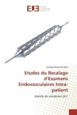 Etudes du Recalage d'Examens Endovasculaires Intra-patient