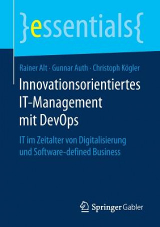 Innovationsorientiertes It-Management Mit Devops