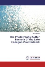 The Phototrophic Sulfur Bacteria of the Lake Cadagno (Switzerland)