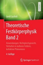 Theoretische Festkoerperphysik Band 2